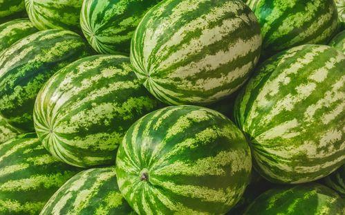 吃瓜网 吃瓜爆料短剧吃瓜爆料大赛每日聚集地